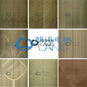 朗得电梯电梯门装潢效果赏析【1】